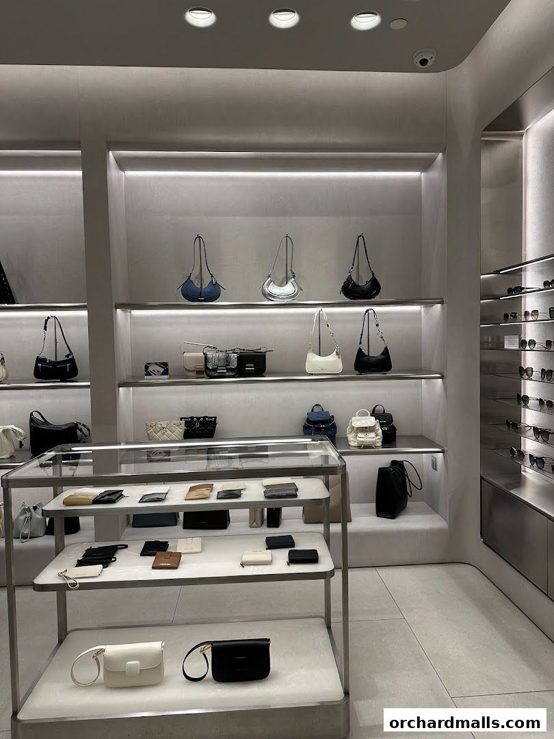 Interior view of a CHARLES & KEITH store showcasing handbags and accessories on display shelves.