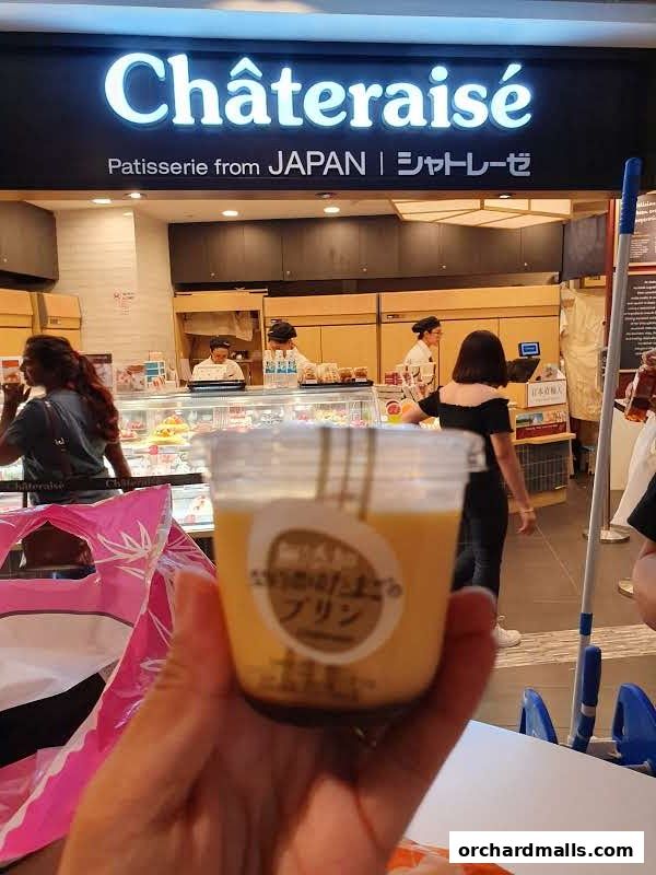 A hand holds a pudding cup in front of a Châteraisé patisserie from Japan.