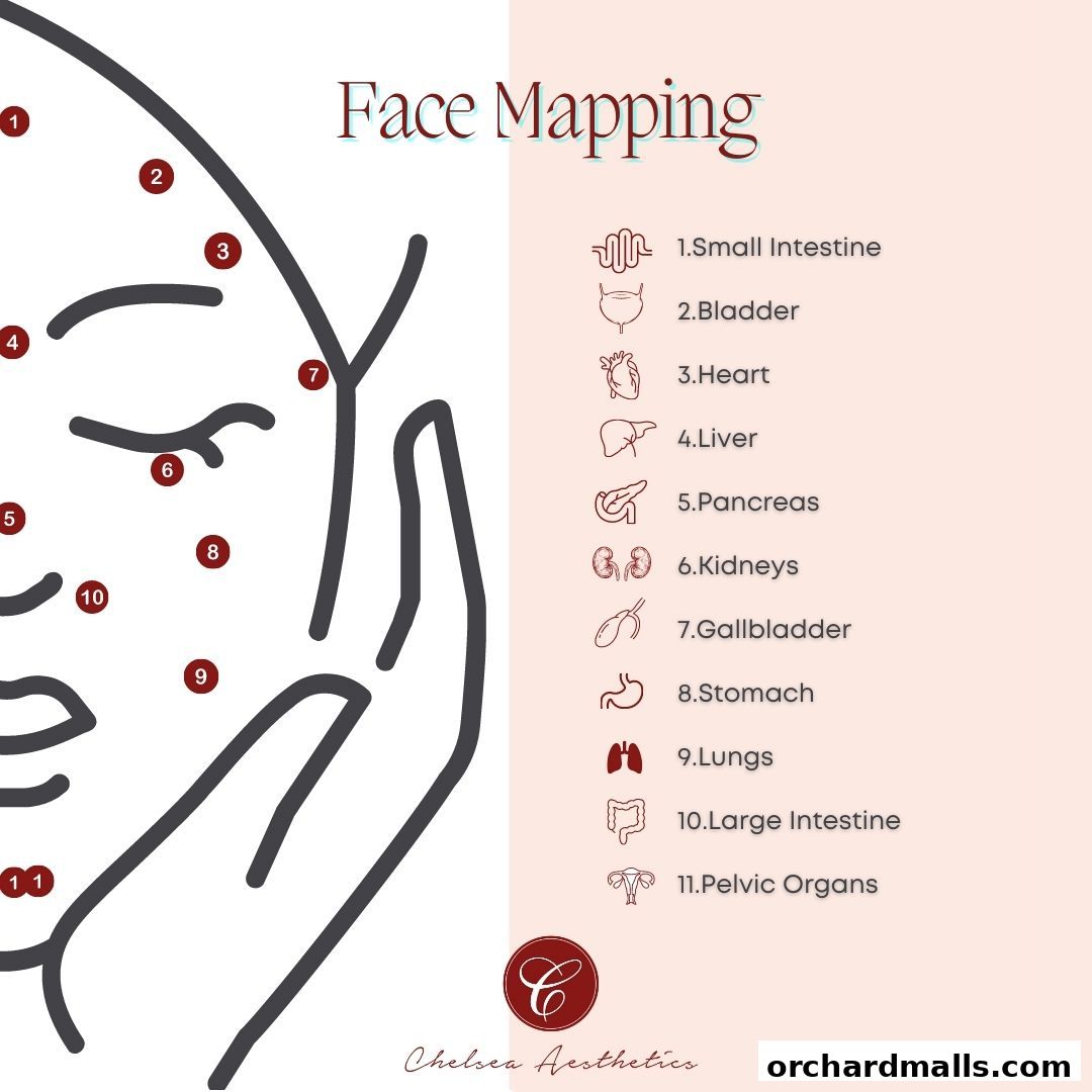 Diagram illustrating face mapping correlating facial points to internal organs.
