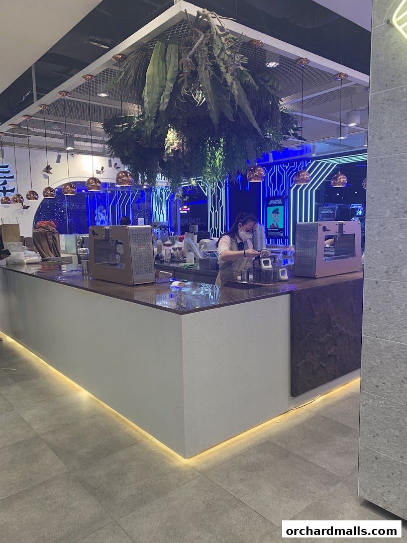 CHICHA San Chen  313Somerset