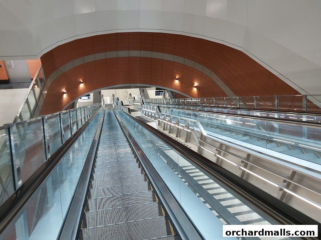 Modern escalators with glass railings and warm-toned curved ceiling in a spacious interior.