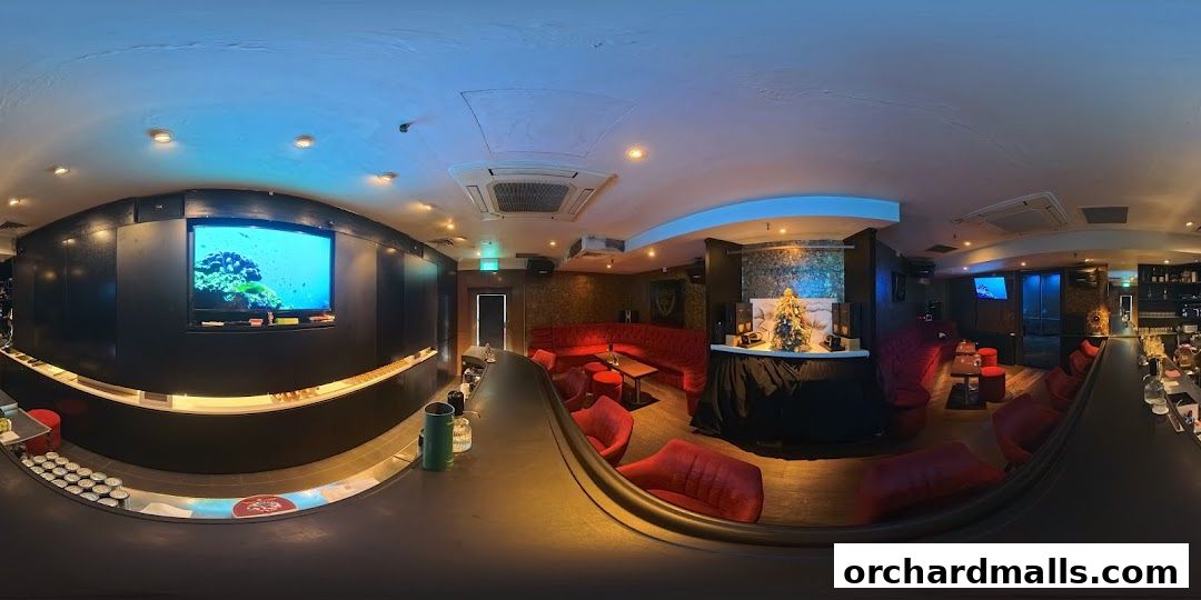 Interior view of a stylish bar with red seating, a bar counter, and a large screen displaying an aquarium.