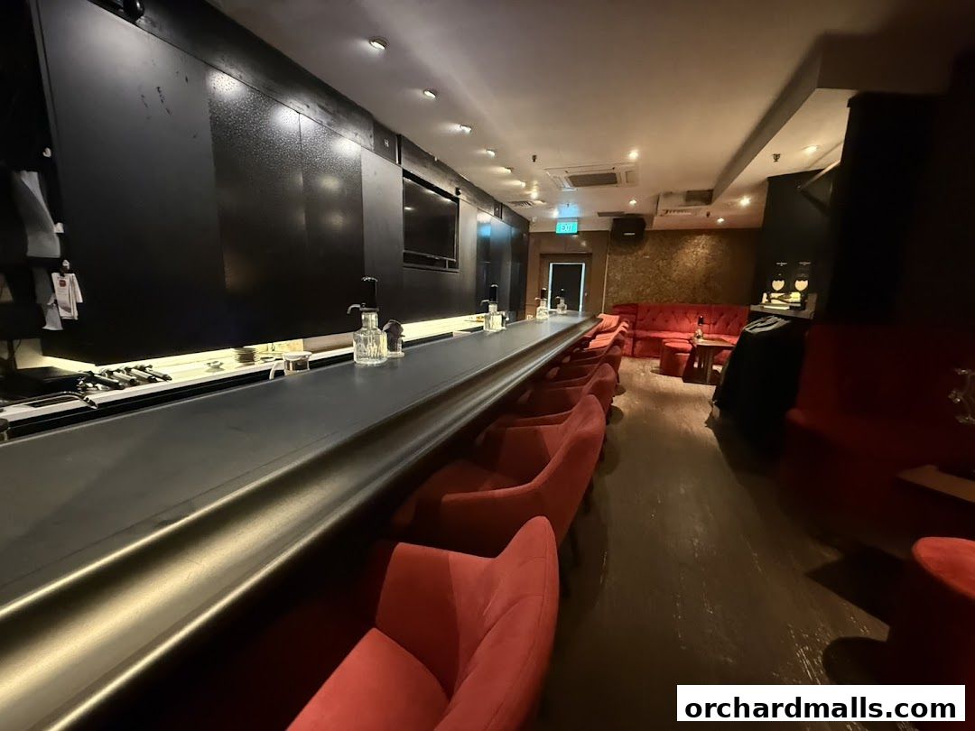 Interior of a stylish bar with a long counter, red seating, and ambient lighting.