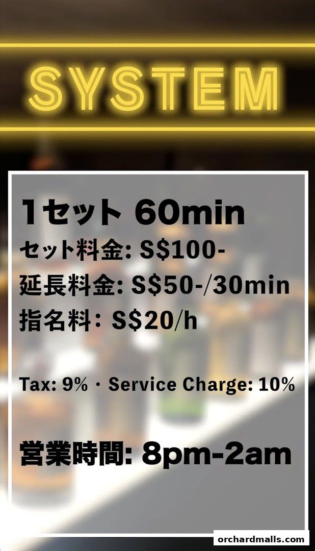 A neon sign displays 'SYSTEM' above a price list for services.