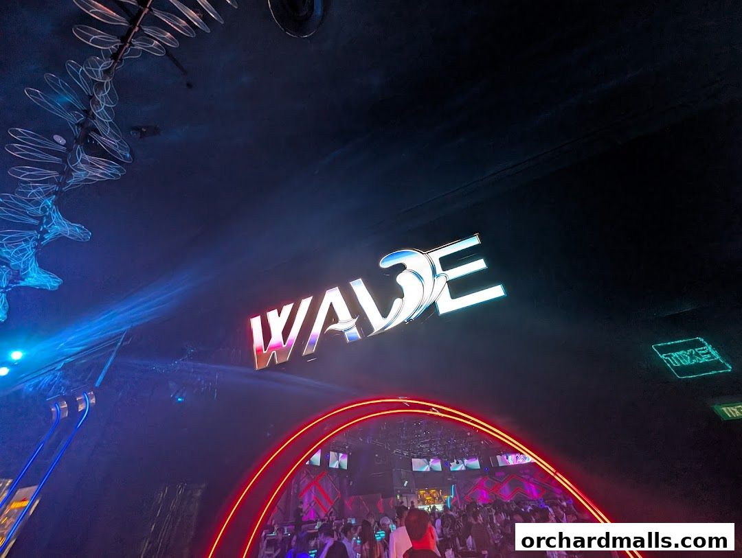 The neon sign 'WAVE' illuminates a crowded, dimly lit club with vibrant lighting.