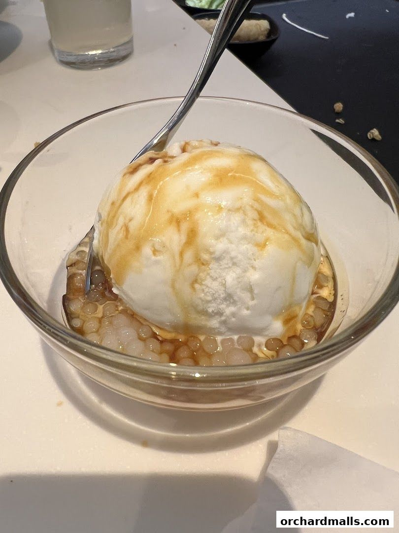 A refreshing dessert with ice cream, tapioca pearls, and a drizzle of sauce.