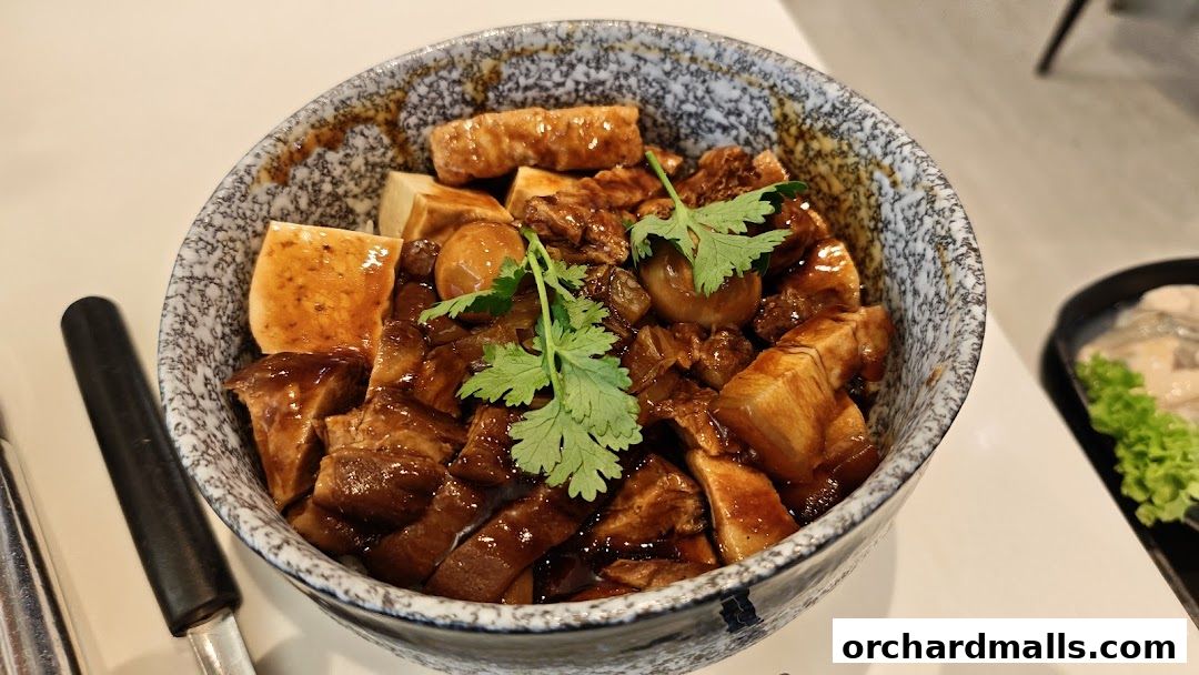 A close-up of a bowl filled with braised pork belly and tofu, garnished with cilantro.