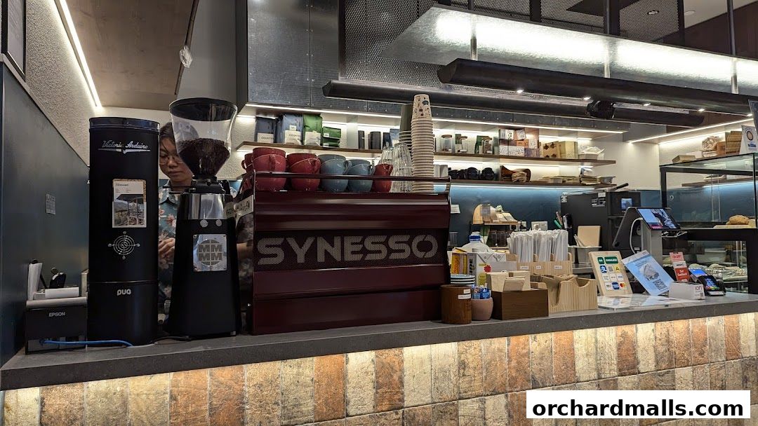 A coffee shop counter with espresso machine, grinders, cups, and payment terminals.