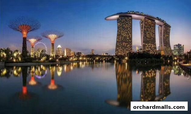 Complete Healthcare International