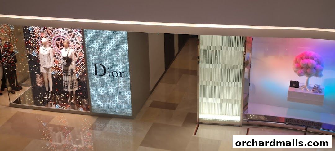 Shop windows display mannequins and products from Dior and Louis Vuitton.