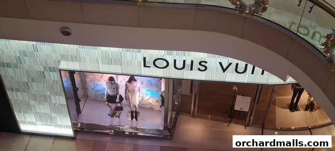 The Louis Vuitton store entrance with mannequins in the display window.
