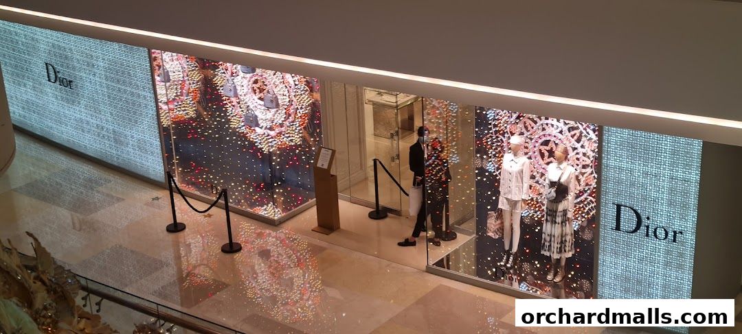 The elegant Dior store entrance features illuminated displays and mannequins showcasing fashion.
