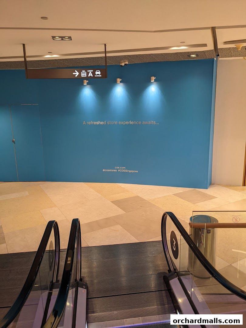 An escalator leads up to a blue wall with text and lighting, indicating a store.