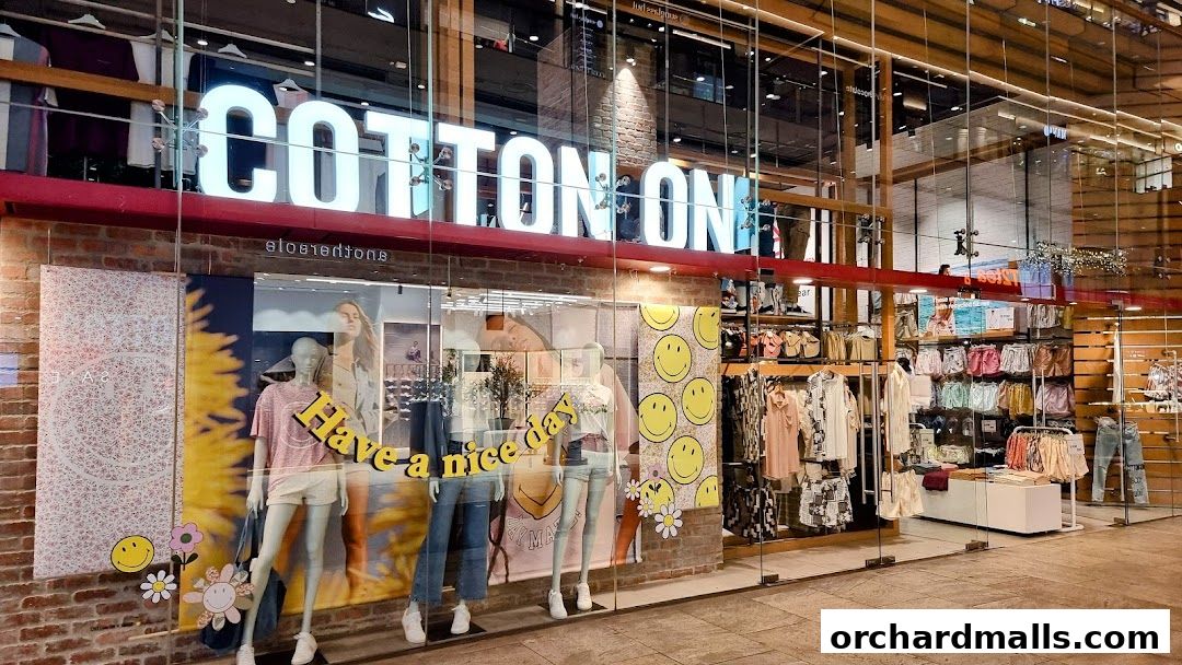 Cotton On Somerset