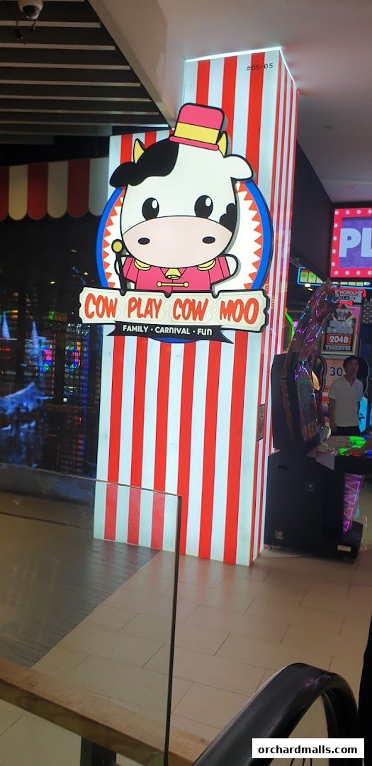 Cow Play Cow Moo