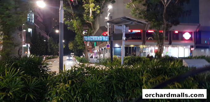 A street view at night with the Orchard Road sign and shops illuminated.