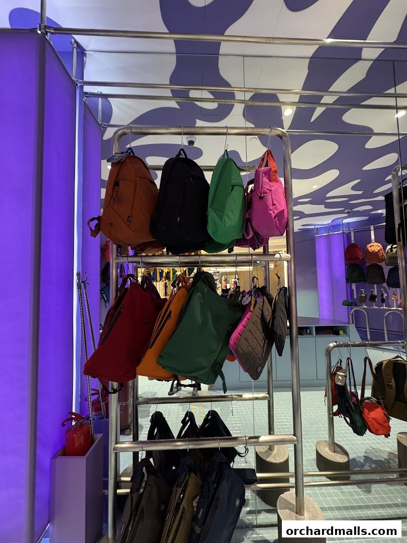 A display of colorful backpacks and bags hanging on racks inside a modern retail store.