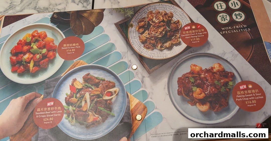 A menu showcasing various Chinese dishes with enticing descriptions and prices.