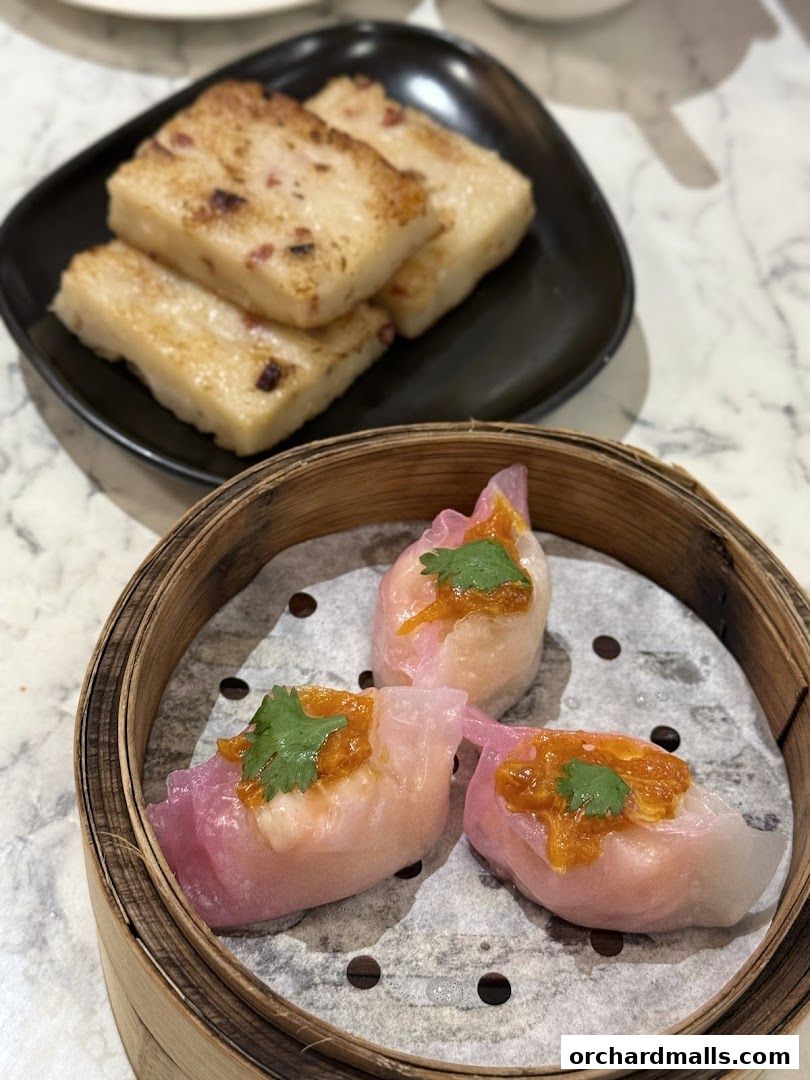 Delicious dim sum dishes, including turnip cake and shrimp dumplings, served at Crystal Jade Hong Kong Kitchen.