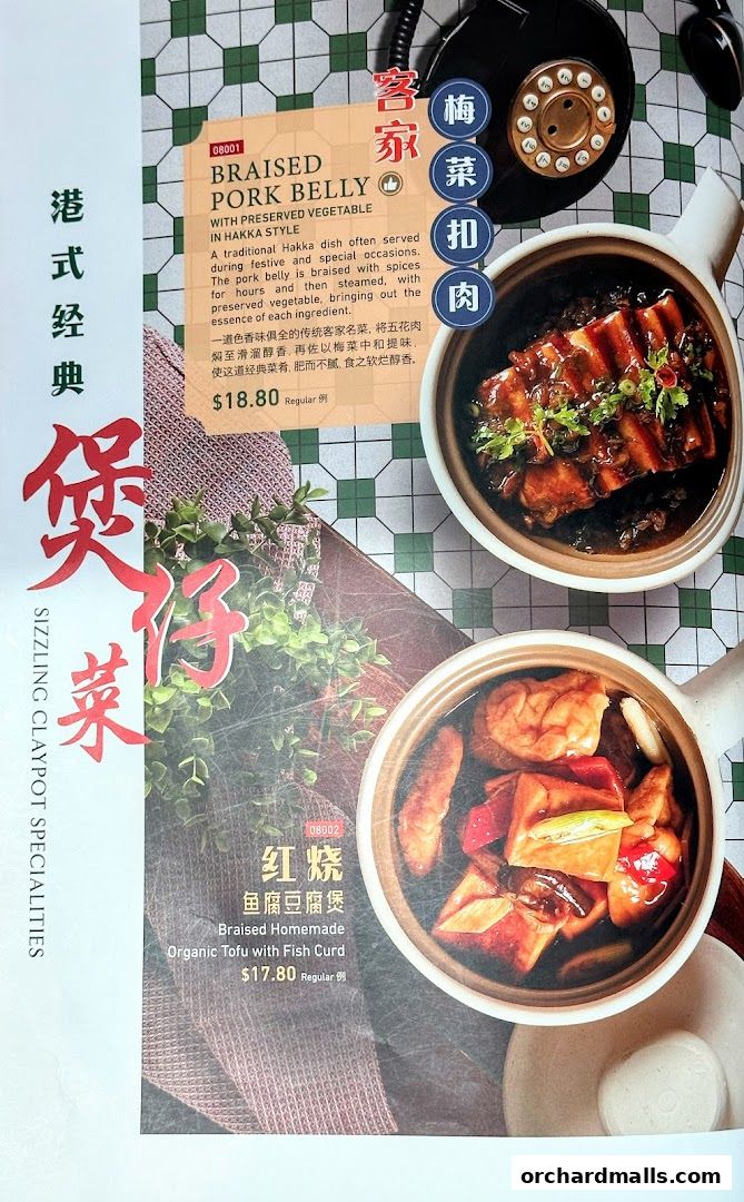 Menu featuring Braised Pork Belly and Organic Tofu with Fish Curd.