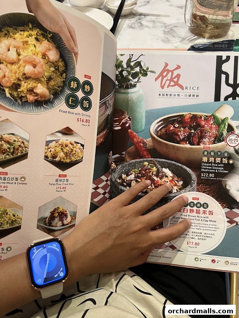 A person is looking at a menu from Crystal Jade Hong Kong Kitchen, showcasing various rice dishes.