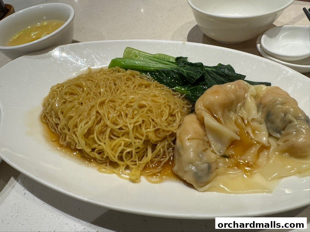 A plate of wonton noodles with bok choy and a side of broth.