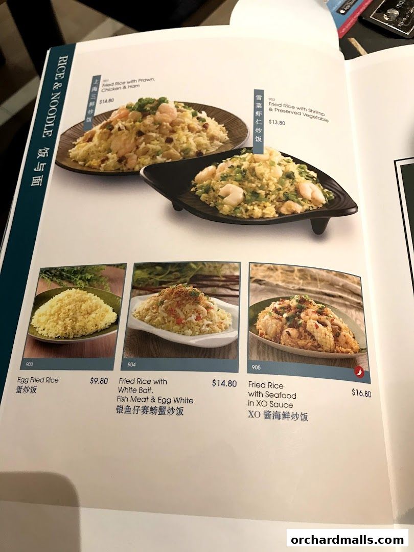 A menu page showcasing various fried rice dishes with appetizing images and descriptions.