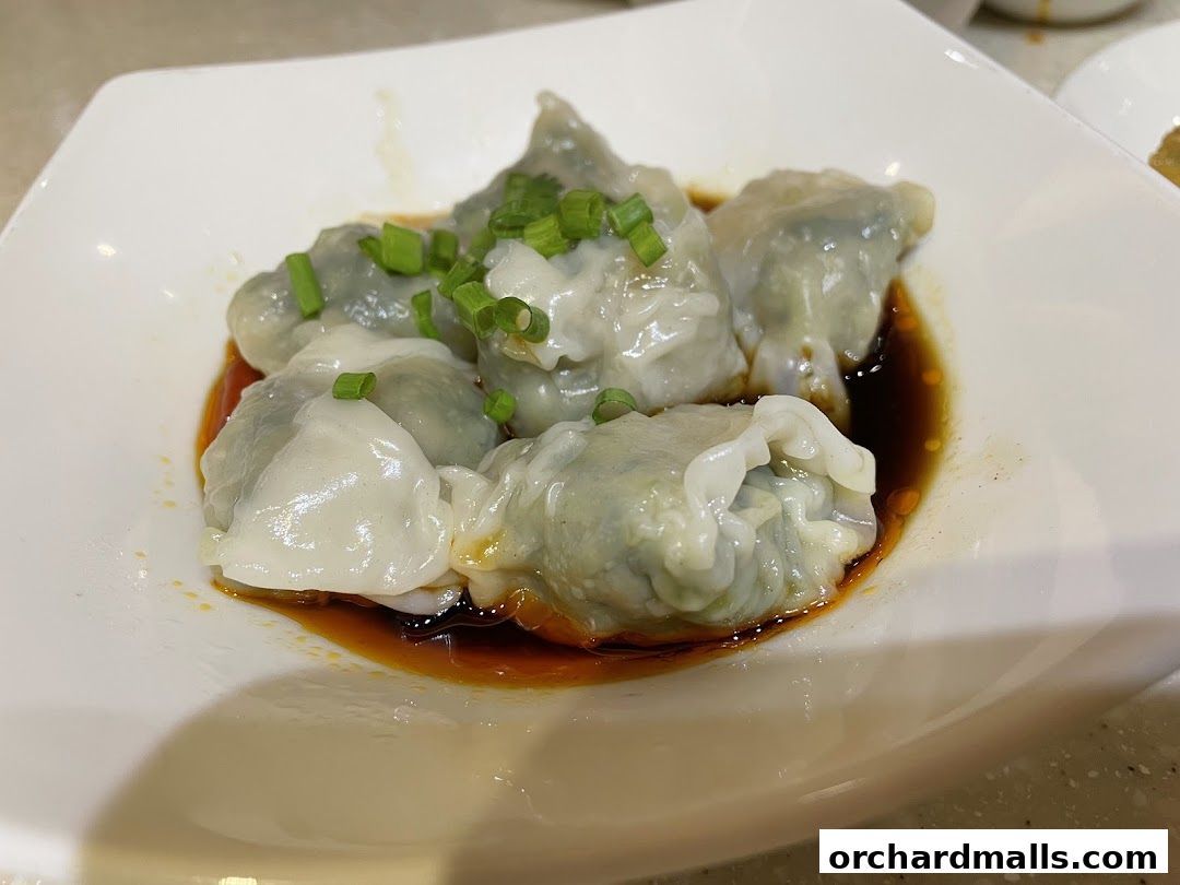 A close-up shot of delicious dumplings served in a white bowl with soy sauce and green onions.