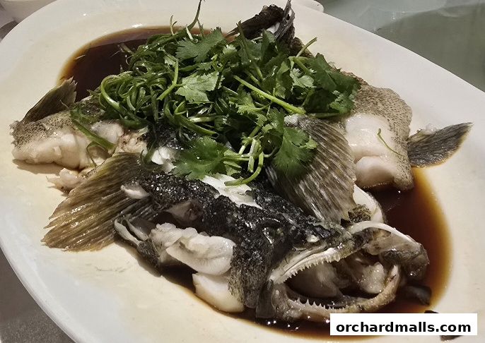 A whole steamed fish garnished with scallions and cilantro, served in a savory sauce.