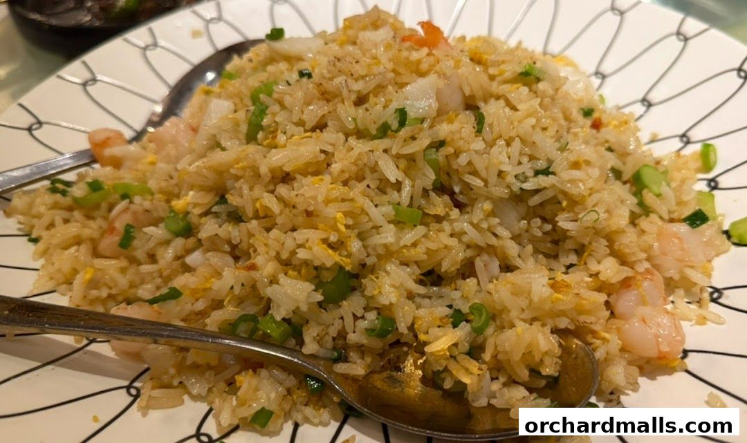 A close-up shot of a plate of shrimp fried rice with green onions and egg.