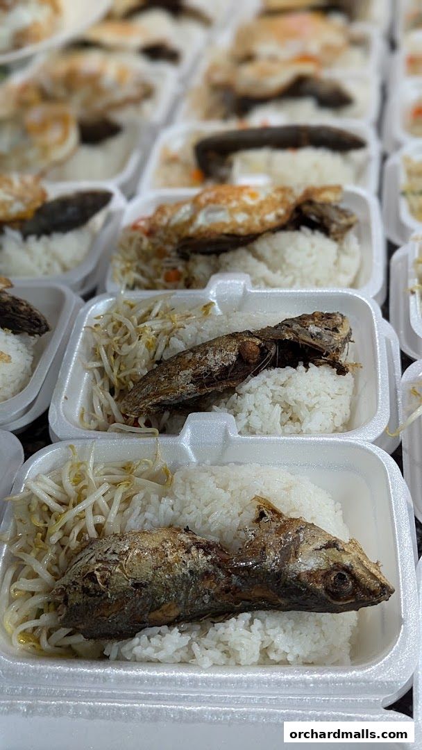 To-go containers filled with rice, fried fish, and bean sprouts.