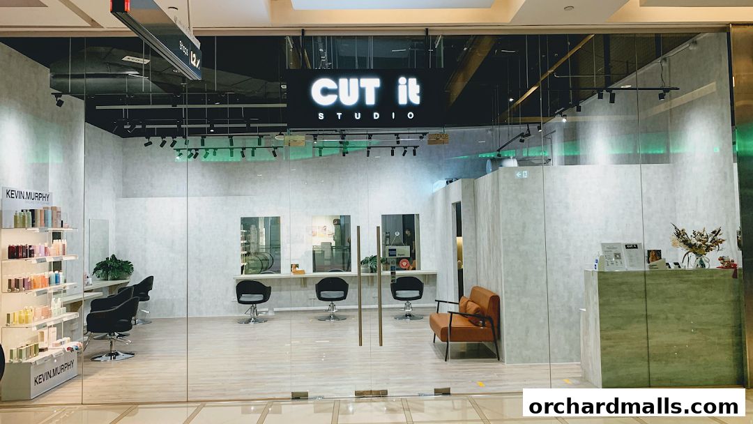 CUT IT STUDIO PTE LTD