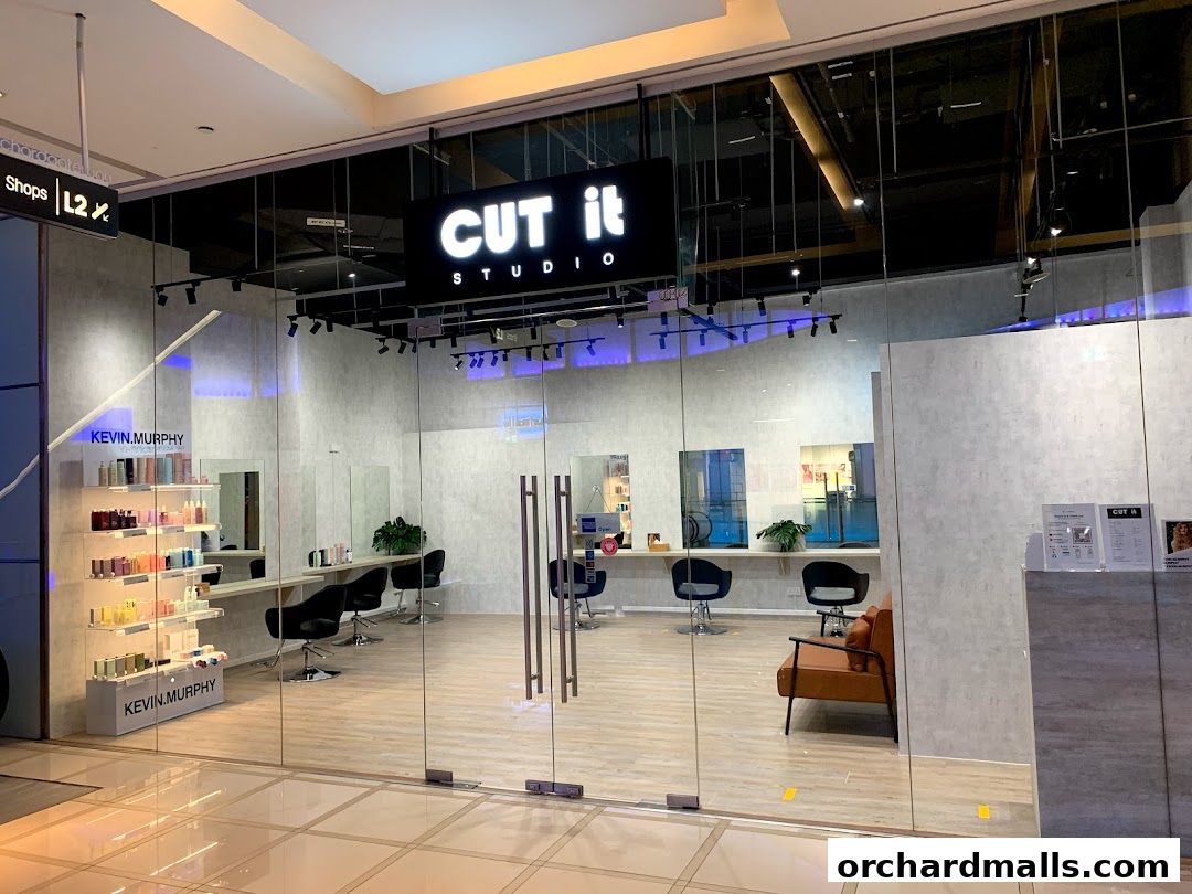 CUT IT STUDIO PTE LTD
