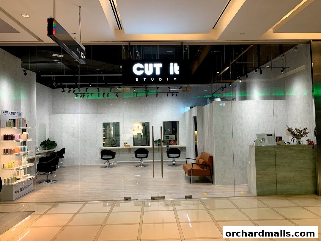 CUT IT STUDIO PTE LTD