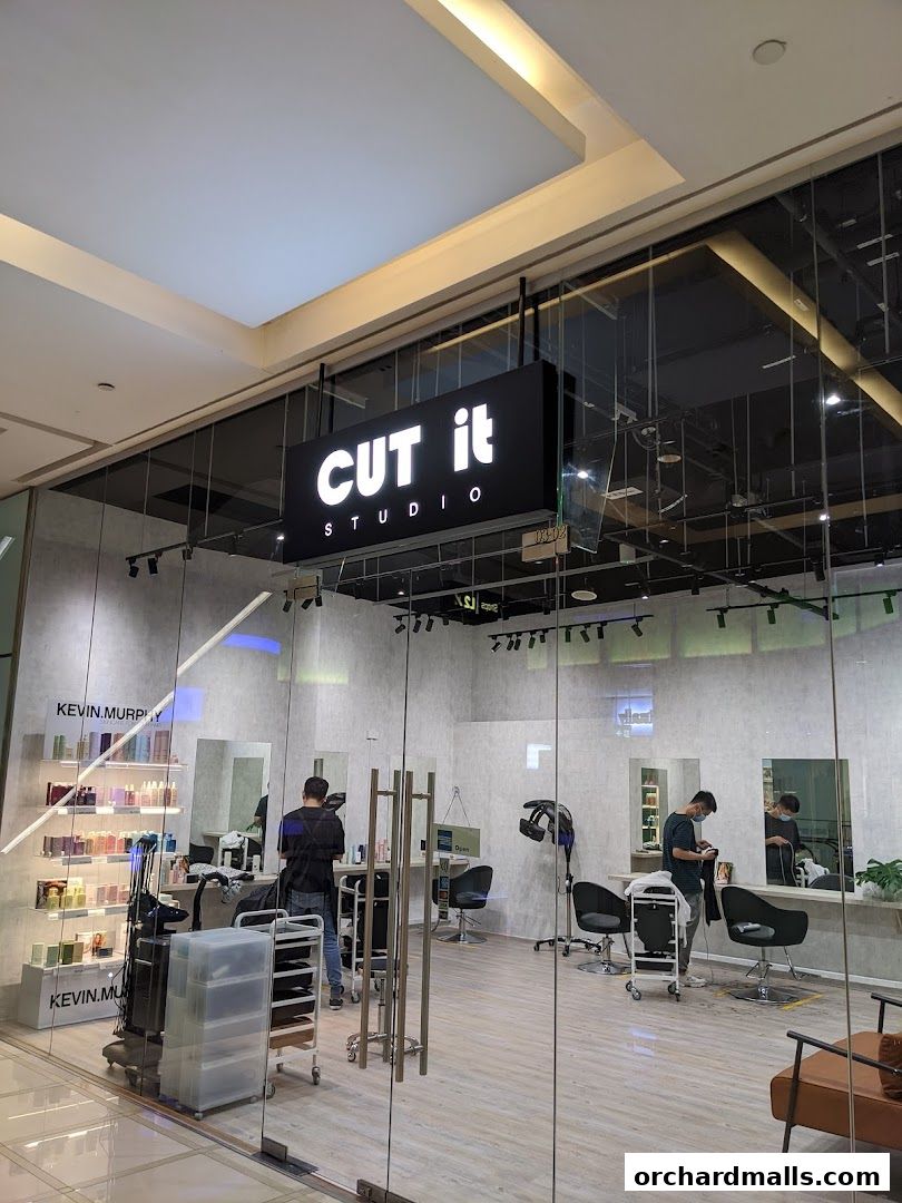 CUT IT STUDIO PTE LTD