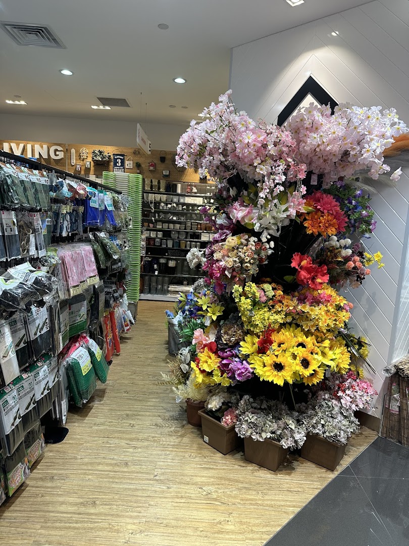 DAISO  ION Orchard