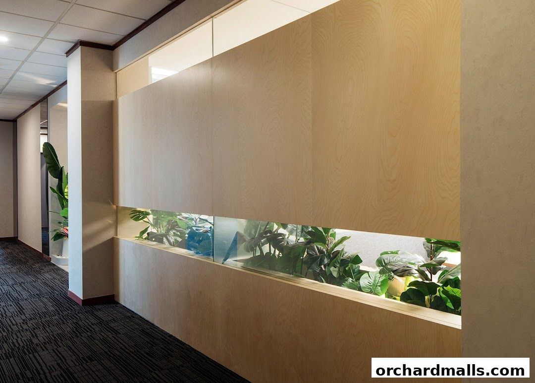 Dental Designs Clinic  Orchard