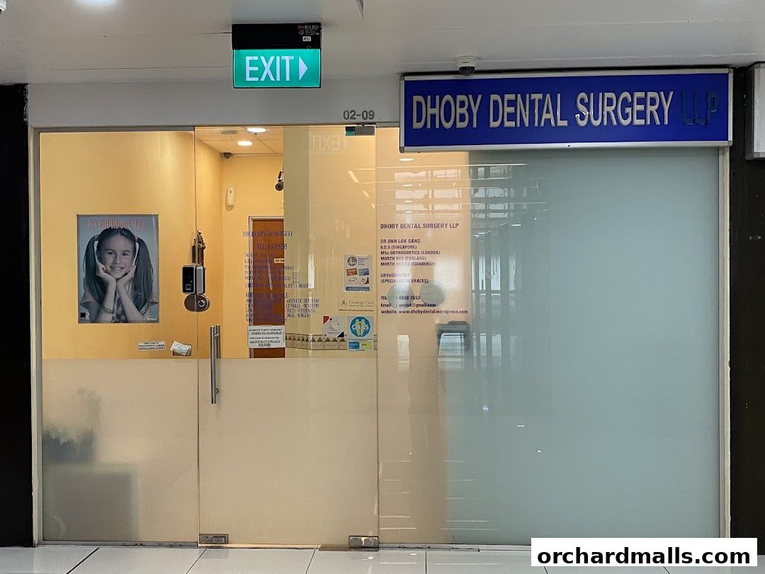The entrance to Dhoby Dental Surgery LLP, featuring a blue sign and frosted glass doors.