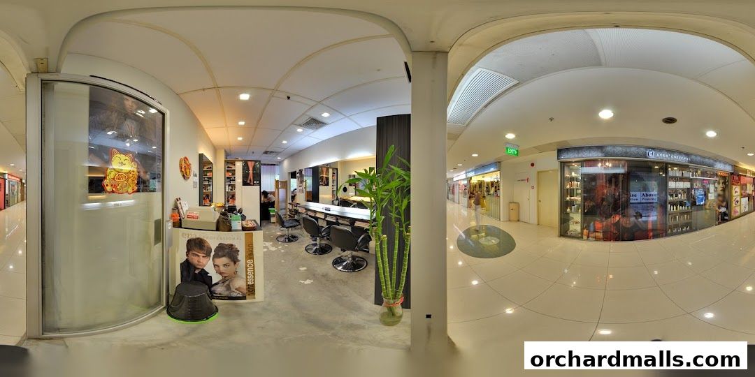 Didi Hairstyling Salon