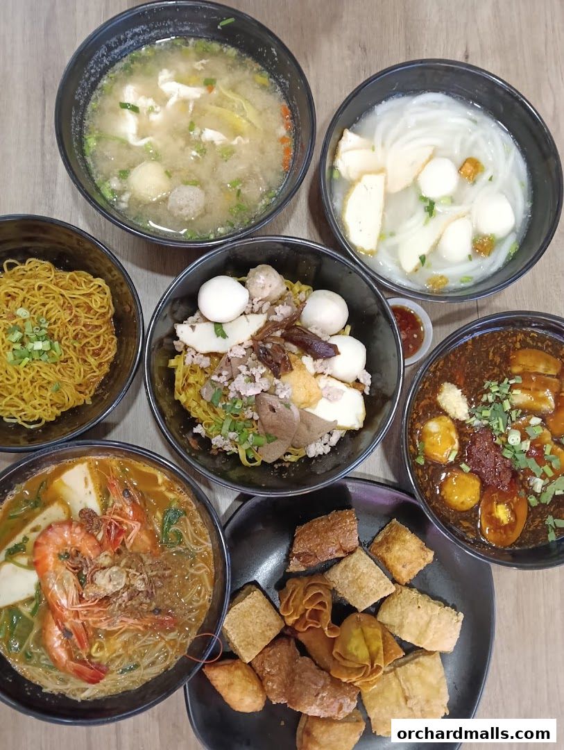 Ding Ji Teochew Noodle House