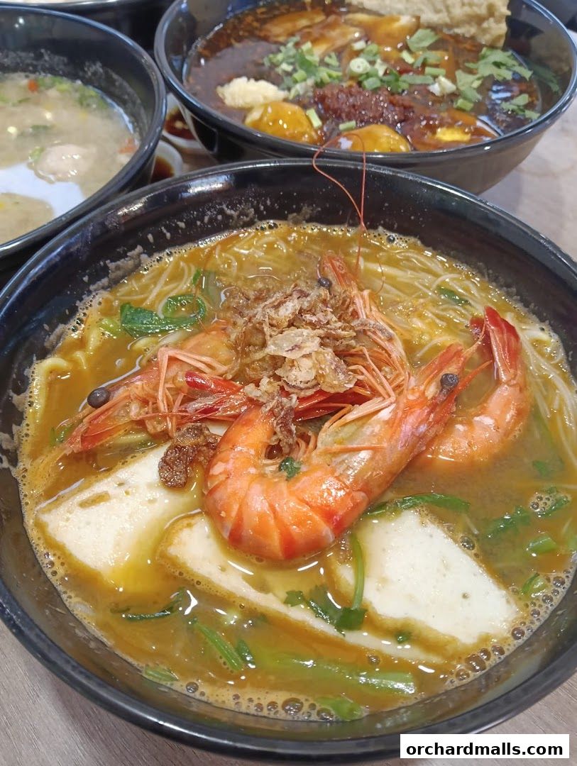 Ding Ji Teochew Noodle House