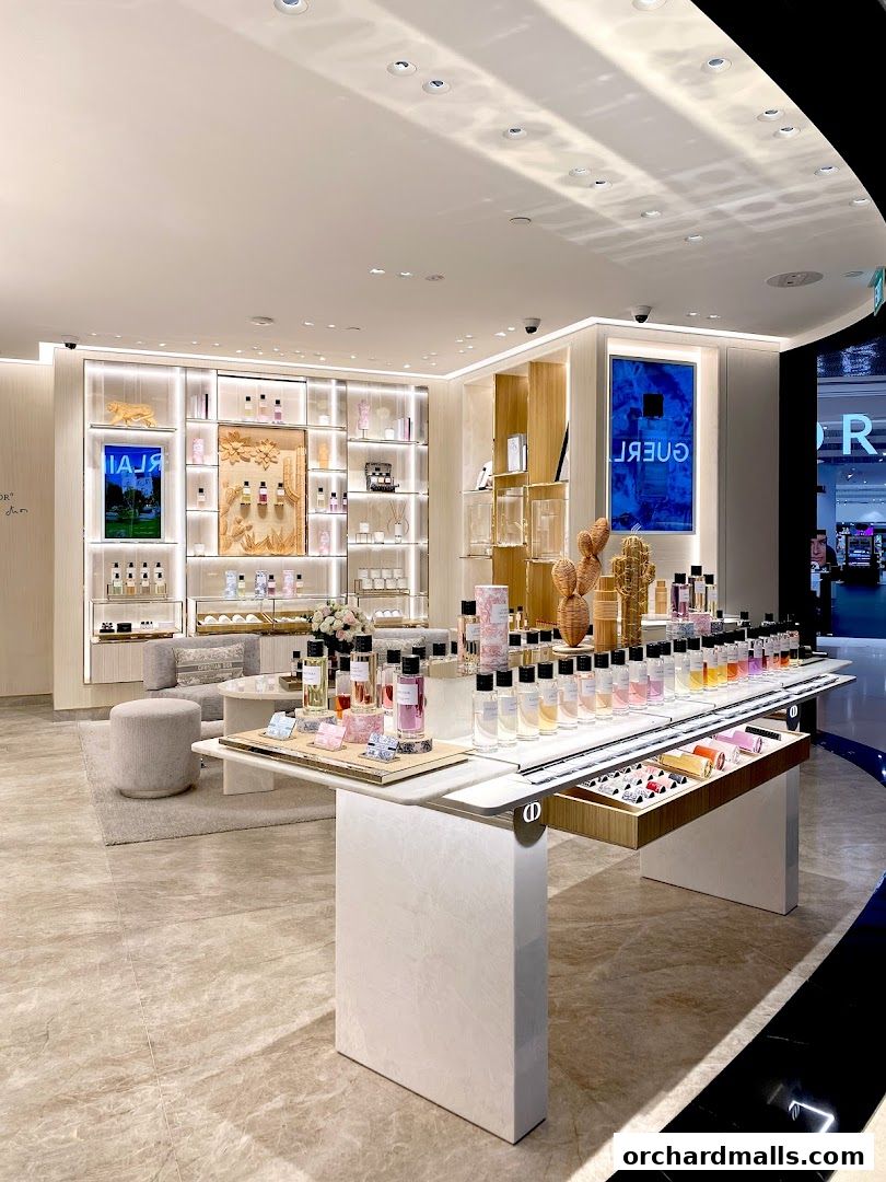 Interior of a Dior Beauty boutique showcasing a wide selection of fragrances and beauty products.