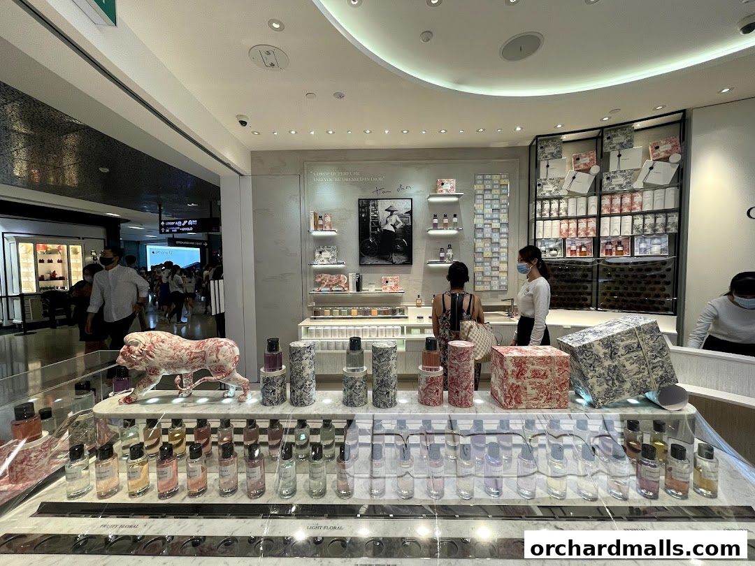 Interior view of a Dior Beauty boutique showcasing perfumes and gift boxes.