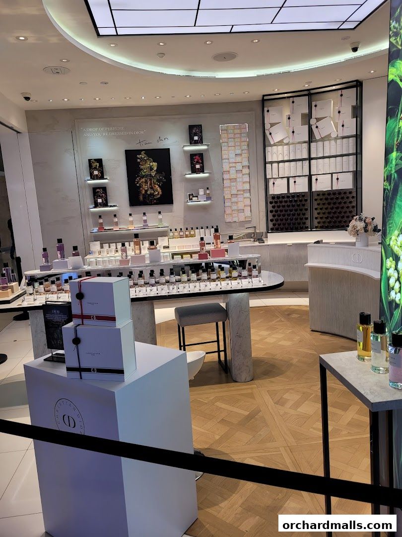 Interior view of a Dior Beauty boutique showcasing perfumes and gift boxes.