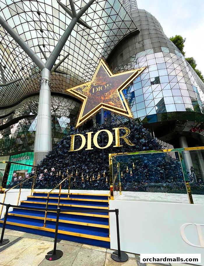 Dior store entrance with a large star decoration and blue carpeted stairs.