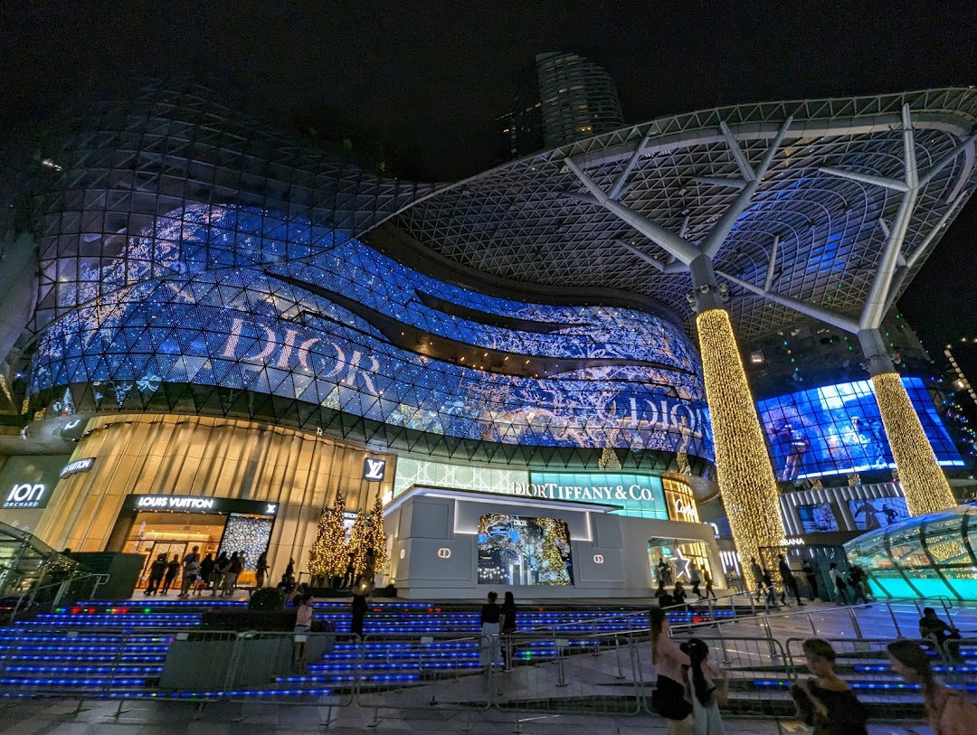 DIOR Ion Orchard