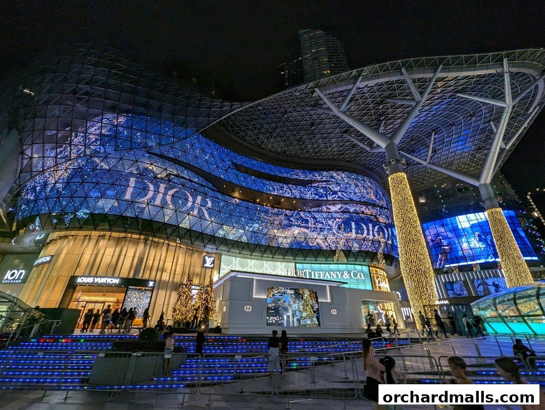 The DIOR Ion Orchard store front at night, illuminated with festive lights and displays.