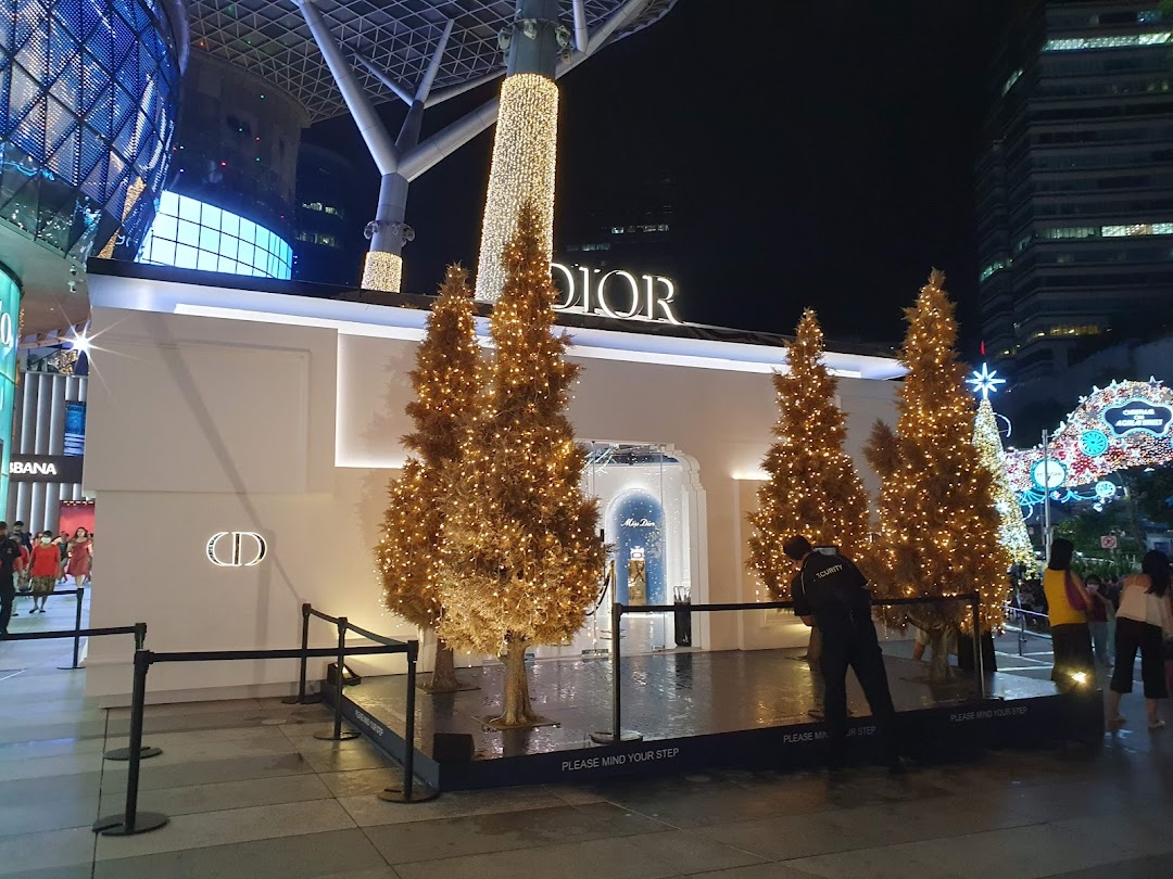 DIOR Ion Orchard
