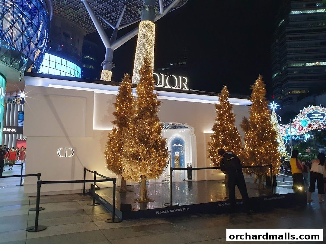 Dior store front at night, decorated with Christmas trees and festive lights.