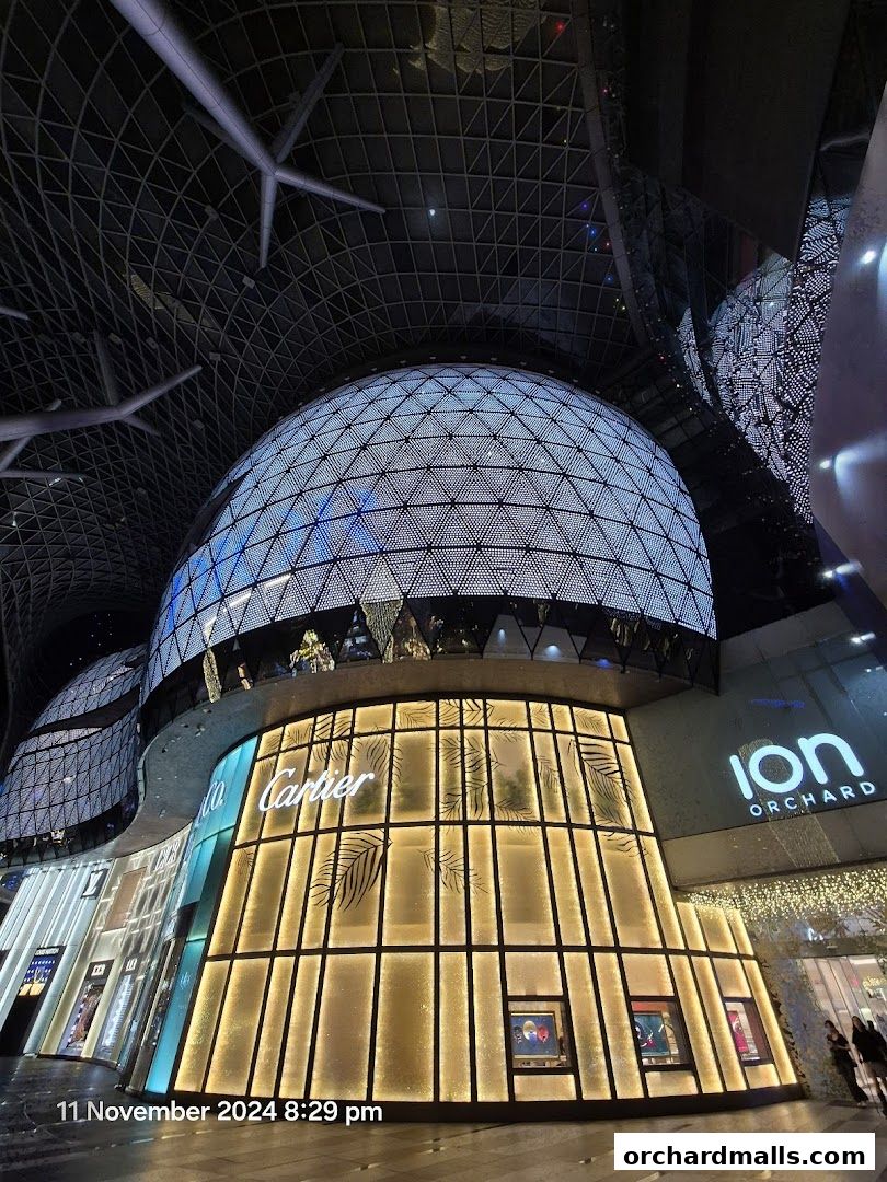 The exterior of the Dior store at Ion Orchard, featuring illuminated displays and the mall's iconic dome.